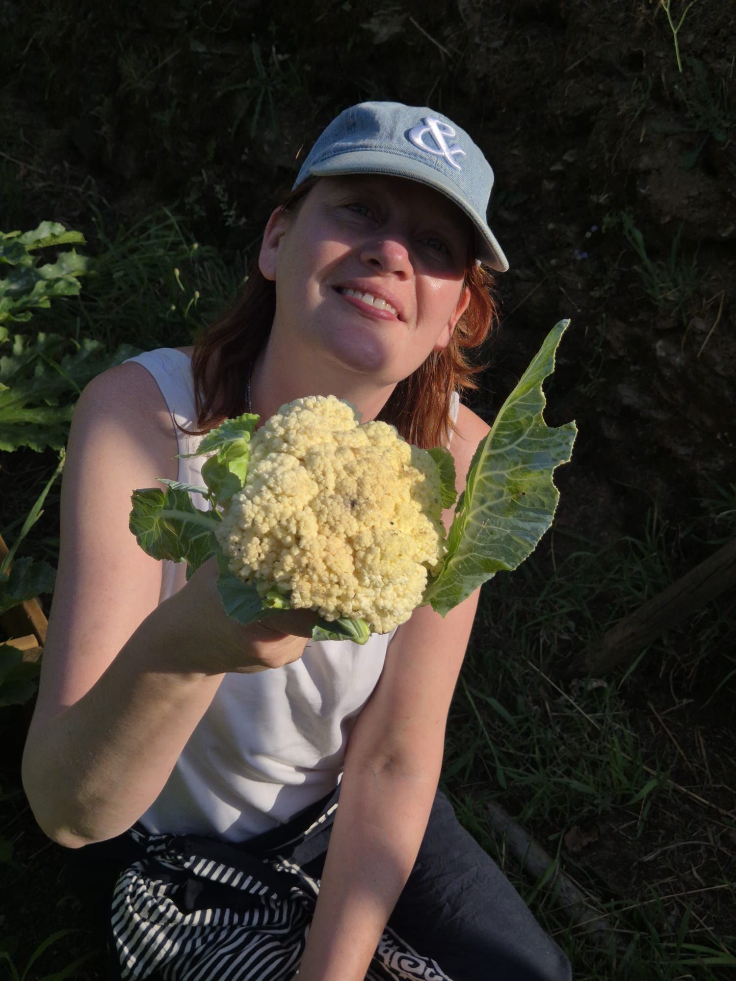 Cindy De gezonde Shift